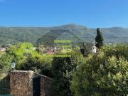 Casa rústica, Setúbal