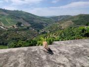 Casa rústica, Sever