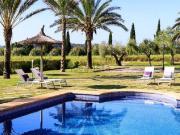 Casa rústica, Sineu