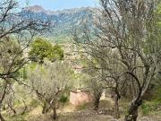 Casa rústica, Soller