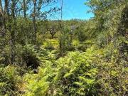 Casa Rústica T2, Colos, Odemira | BPI Expresso Imobiliário