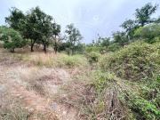 Casa Rústica T2, Grândola e Santa Margarida da Serra,...