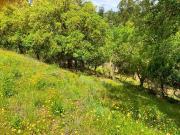 Casa Rústica T2, São Salvador e Santa Maria, Odemira |...