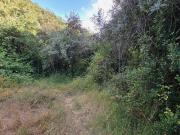 Casa Rústica T2, São Salvador e Santa Maria, Odemira |...