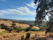 Casa Rústica T3, Serpa Salvador e Santa Maria, Serpa |...