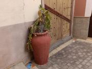 Casa rústica, Telde