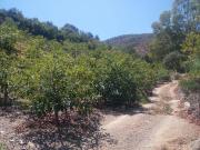 Casa rústica, Tolox