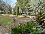 Casa rústica, Tomelloso