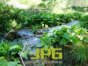 Casa rústica, Torremanzanas