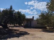 Casa rústica, Tortosa