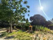 Casa rústica, Utrera