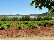 Casa rústica, Valdepeñas