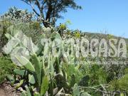 Casa rústica, Vega de San Mateo