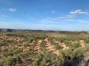 Casa rústica Venta Alameda, Alameda
