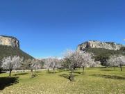 Casa rústica Venta Alaró, Alaró