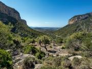 Casa rústica Venta Alaró, Alaró