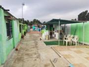 Casa rústica Venta Amposta, Poble Nou del Delta Eucaliptus