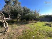 Casa rústica Venta Cartagena, Cartagena