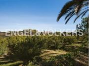 Casa rústica Venta Cullera, Bonavista Zona de l'Estació Casa rústica Venta Cullera, Bonavista Zona de l'Estació