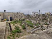 Casa rústica Venta Cullera, Bulevar del Xúquer El Maranyet