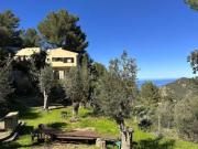 Casa rústica Venta Estellencs, Estellencs