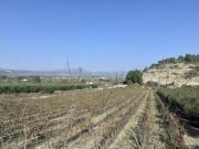 Casa rústica Venta Ginestar, Ginestar