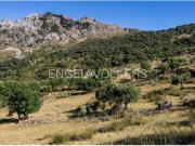 Casa rústica Venta Grazalema, Grazalema