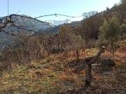 Casa rústica Venta Güéjar Sierra, Güéjar Sierra