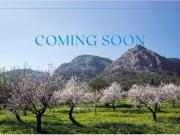 Casa rústica Venta Palma de Mallorca, Establiments