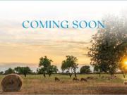 Casa rústica Venta Palma de Mallorca, Son Sardina