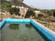 Casa rústica Venta Puerto Serrano, Puerto Serrano