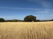 Casa rústica Venta Ruidera, Ruidera