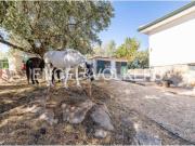 Casa rústica Venta Valdemorillo, Valdemorillo