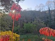 Casa rústica Venta Vallgorguina, Vallgorguina