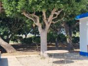 Casa rústica Venta Vinaròs, Costa Nord