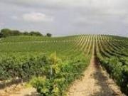 Casa rústica Venta Yecla, Yecla