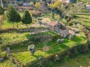 Casa rústica, Vila Cova à Coelheira