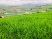 Casa rústica, Villanueva de la Concepcion