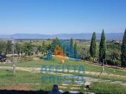 Casa semi indipendente in affitto a Cerreto Guidi