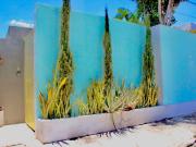 Casa Semilla en Merida yucatan Casa Semilla en Merida yucatan