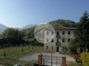 Casa semindipendente in affitto