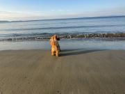 Casa semindipendente in vendita a Follonica