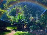 CASA SEVILLANA EN VENTA PRADOS DEL ESTE CASA SEVILLANA EN VENTA PRADOS DEL ESTE