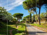 Casa singola in affitto a Roma, Appia Antica