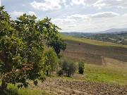 Casa singola in vendita a Ariano Irpino, contrada acquasalza