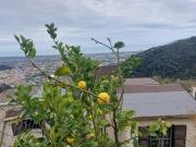 Casa singola in vendita a Bergiola Massa 140 mq Rif: 1341303