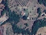 Casa singola in vendita a Campagnatico