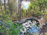 Casa singola in vendita a Fortunago