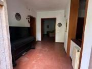 Casa singola in vendita a Massa 300 mq Rif: 1284072