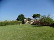 Casa singola in vendita a Pagnana Empoli 357 mq Rif: 1045788